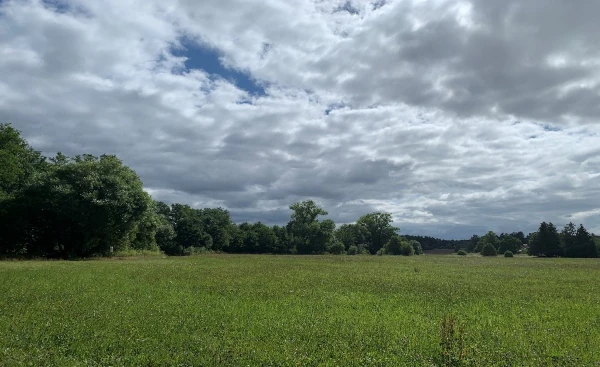 Coaching-Spaziergang mit Elisabeth Tuma in Lauf an der Pegnitz